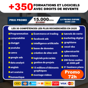 Pack 350 Formations et Logiciels avec Droits de Revente – Maîtrisez les compétences les plus recherchées en 2025